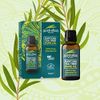 Australian Tea Tree Purifying Pure Oil, Tea Tree, 10 ml (Pack of 1)