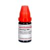 Cimicifuga LM VI DHU Dilution, 10 ml Lösung