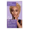 Dark & Lovely Color #384 Light Golden Blonde (3 Pack)