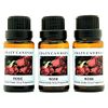 Crazy Candles Rose 3 Bottles 1/2 FL Oz Each (15ml) Premium Grade Scented Fragrance Oil