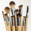 EcoTools Natural Beauty 10 Piece Brush Set
