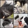 AIDIYA Dog Pill Remover, Cat Comb, Pet Comb, Pilling & Unwanted Hair Removal, Stainless Steel, Pet Supplies, Removes Thick Hair Ties, For Dogs and Cats, For Long and Short Hair, (Twin Sides)