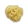 Premium Natural Sea Wool Sponges - 2 Soft Real Sponges 6"-7" (Large) & 3"- 4" (Medium); Perfect Luxury Gift for Bath, Shower and Cosmetic Facial Cleansing by Constantia Beauty®