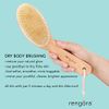 rengöra Dry Brushing Body Brush for Lymphatic Drainage, Cellulite Reduction, and Exfoliation - Natural Bristles, Detox and Boost Circulation - Best Dry Brush for Skin and Body Scrubbing