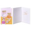 Papyrus All Occasion Blank Card Assortment (6-Count)