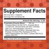 MaryRuth Organics Gluten Enzymes Capsules | Enzyme Supplement for Gut Health Support | Gluten Digestion | & Nutrient Absorption | Vegan | Gluten Free | 60 Count