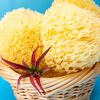 Sea Sponge 5"-6"-Natural Sponge-Bath Sponge-Soap Making Embeds-Craft Supplies