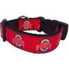 Collegiate Dog Collar (Large, Ohio State Buckeyes)