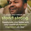 High-Quality Magnesium 500 mg Tablets - Essential for Bone & Muscle Wellness