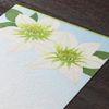 Midori 88783006 Postcard High Summer Letter Foil Clematis Pattern