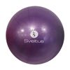 Sveltus Educational Ball Purple 25cm
