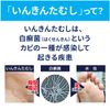 【指定第2類医薬品】 ラミシールDX 10g