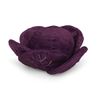 Petface Foodie Faces Ruby Red Cabbage Plush Dog Toy with Built-In Squeaker