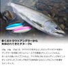 DAIWA 21S HS Spoon Chinook S