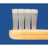 Shu Shu Point Brush Brush / Normal 1 Piece