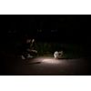 Olight iTHX Evergreen Rechargeable Keychain EDC Flashlight, 180 Lumens, 48 Meter