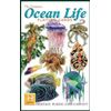 Heritage Playing Cards - Ocean Life Playing Cards [Toy]
