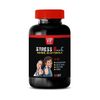 stress less in life - STRESS SUPPORT FORMULA - promoting immune support 1 BOTTLE