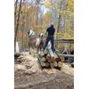 1/8" x 10" x 16" Black Cherry Wood Lumber Thin Boards (3 Pack)