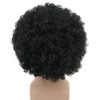 yuehong Short Black Fluffy Disco Afro Wigs Synthetic Anime Cosplay Fancy Funny Wigs for Unisex Men Women Wigs (Black)