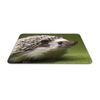 Cute Hedgehog Mouse Mat Pad - Kids Fun Animal Hog PC Computer #8246