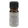 Yarrow Essential Oil (Achillea millefolium) - 5ml