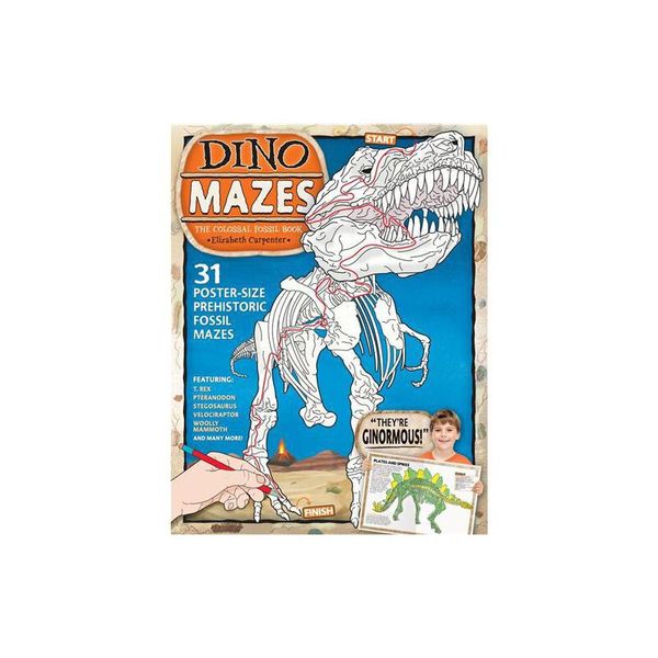 Dino Mazes: The Colossal Fossil Book