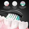 Lovely Land Sonic Electric Toothbrush for Adults, 5 Modes Power Rechargeable Toothbrush with 4 Replacement Brush Heads and Travel Toothbrush Case, Smart Timer – Whitening Electric