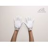 Passion Creative Cotton Smooth Gloves with Hooks, 1 Dozen (12 Pairs), M Size