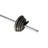 Ader Barbell Set 1'' Standard Plates Set (Gray, 50lb)