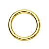 PiercedOff Titanium PVD Gold Tone Hinged Segment Ring - Thickness 20GA (0.8mm) / Diameter 6mm