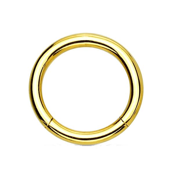 PiercedOff Titanium PVD Gold Tone Hinged Segment Ring - Thickness 20GA (0.8mm) / Diameter 6mm