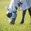 Shires Ultra Pro Fly Mask - White: Extra Full
