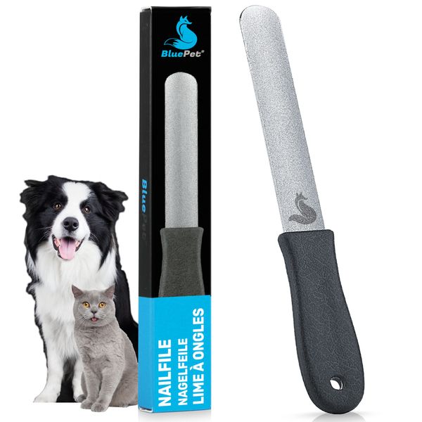 BluePet 12 cm Krallenfeile Nagelfeile zur Entfernung scharfer Kanten & optimalen Krallenpflege für Hunde, Katzen & Kleintiere (1x Fein)