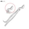 Wolf Tooth Extractor Forceps 11" Dental Equine Instruments Stainless Steel