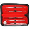 Dental Teeth Cleaning Kit Dentist Floss Plaque Remover Tooth Scraper Care Tools