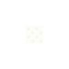 Noevir Dental Brush PC2 Noevir Cosmetics