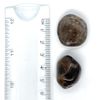 Smoky Quartz Medium Crystal Tumbled Stone - 1 Pc
