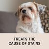 Eye Envy NR 59ml (2oz) Tear Stain Remover Solution for Dogs