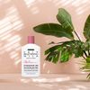 Clear Essence Exclusive Hydroquinone Free Skin Beautifying Milk Maxi-Tone - Body Lotion - Skin Care Body Moisturizer - Dermatologist Tested - Body Care Moisturizing Lotion For All Skin Types - 10 Oz