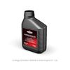 Briggs & Stratton 992232 550E/575EX/550EX-Series Eco Plus Engine Care Kit