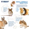Prevue Pet Products Dine & Dash Small Animal Toy Bundle