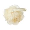 Daily Mesh Sponge, to Create Rich, Soft lather