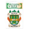 Down County Ireland Irish Car Bumper Sticker/decal