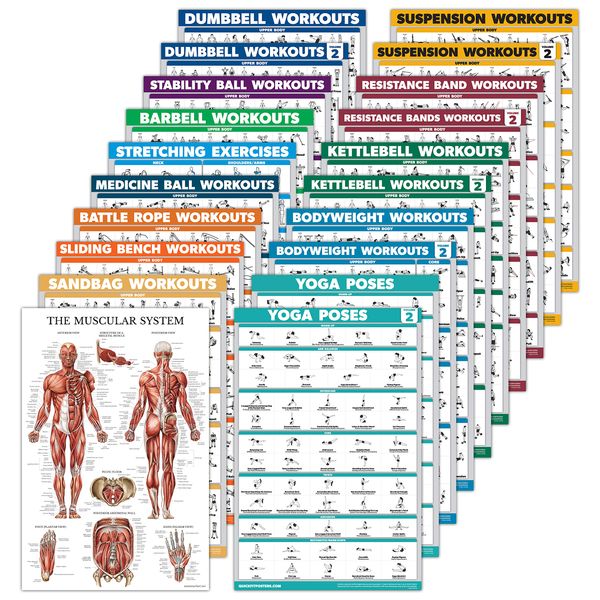 20 Pack - Exercise Workout Poster Set: Dumbbell, Suspension, Battle Rope, Stretching, Bodyweight, Barbell, Yoga, Exercise Ball, Kettlebell, Resistance Bands and More (PAPER - NOT LAMINATED, 18" x 24")