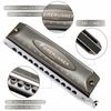 EASTTOP 12Hole Chromatic Harmonica Forerunner Harmonica C  Chromatic Mouth Organ