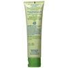Zion Health Claybrite Natural Toothpaste, Natural Mint, 4 Ounce (Packaging may vary)