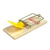 24-Count Catchmaster Mouse Traps Disposable Traditional Kiln-Dried Wood