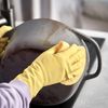 SPRINGLANE Cast Iron Cleaner 250 ml