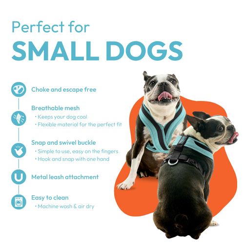 Gooby Comfort X One Dog Harness - Head-in Dog Harness for Small & Medium Sized Dogs - Escape-Free & Choke Free - Breathable Mesh, Shock Absorbing, Easy Snap & Swivel Buckles - Atlanta Peach, X-Small